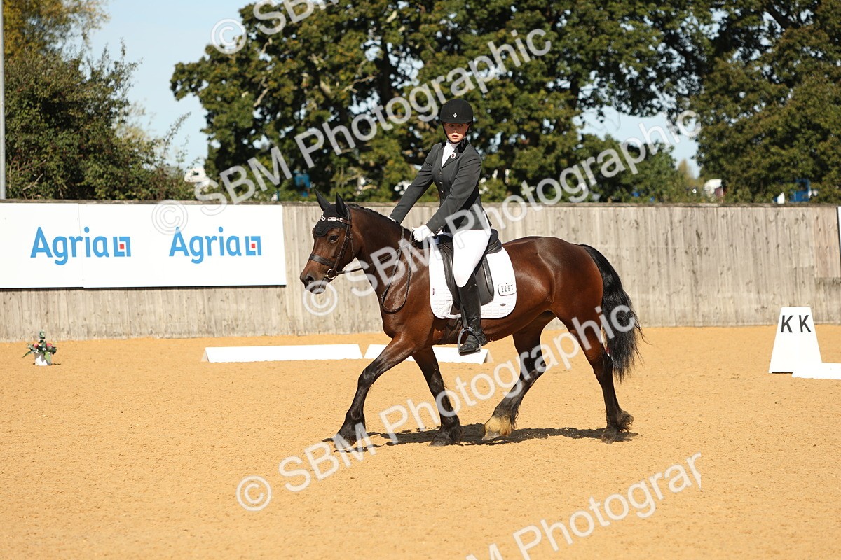 SBM_18797 - D10 - Small Tour Championship - Prelim 2