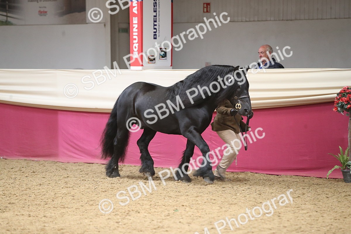 SBM_05286 - Class 8R - Regional IH Veteran