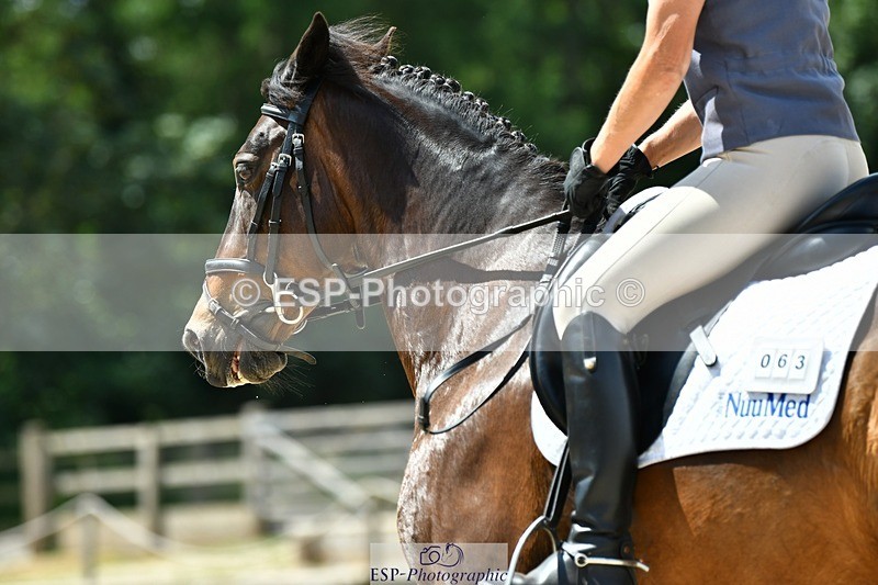 230623-123059-02238 - Cls 4 Novice 37Q Start to 12.35 break