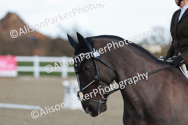 20260314-4436 - DR4 - Prelim 2