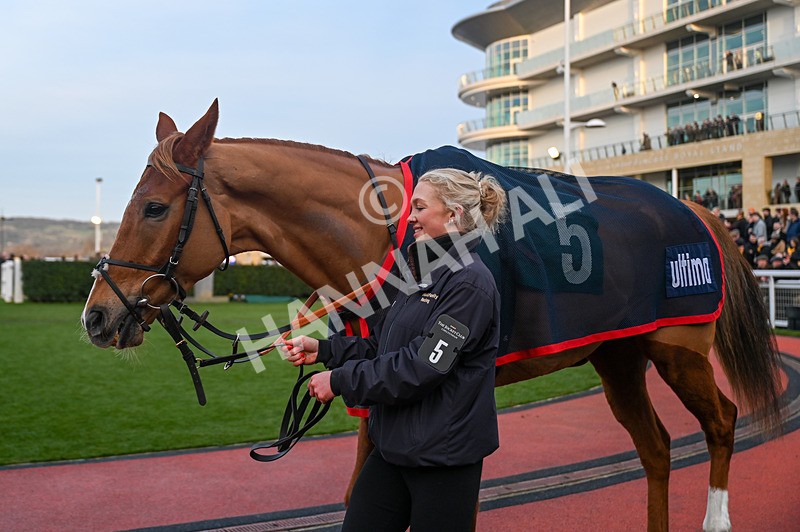 250125-Race 7-Quebecois-3810 - Race 7