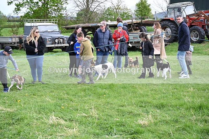 WJ6_8522 - Class 6 Best Rescue