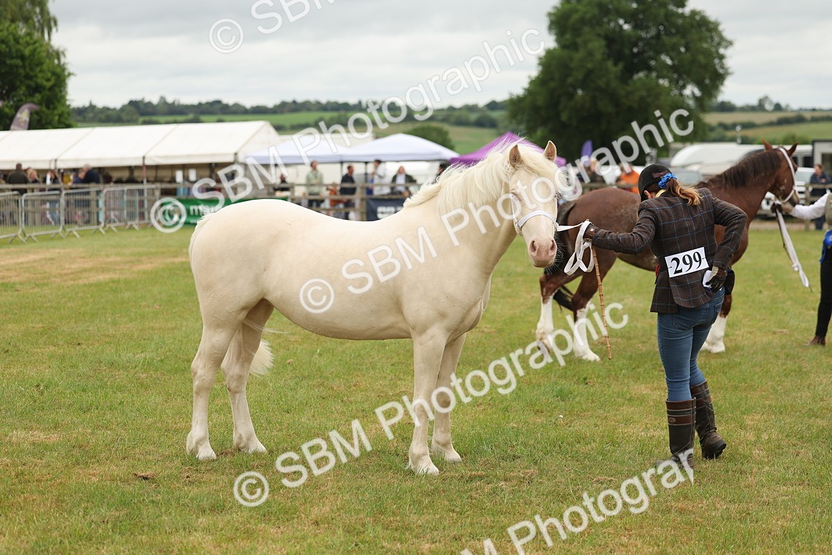 SBM_02417 - Class 50-57 - M&M Welsh Pony In Hand