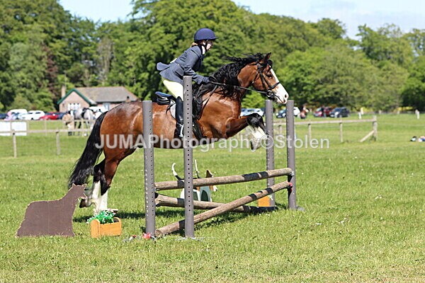 IMG_4054 - Working Hunter