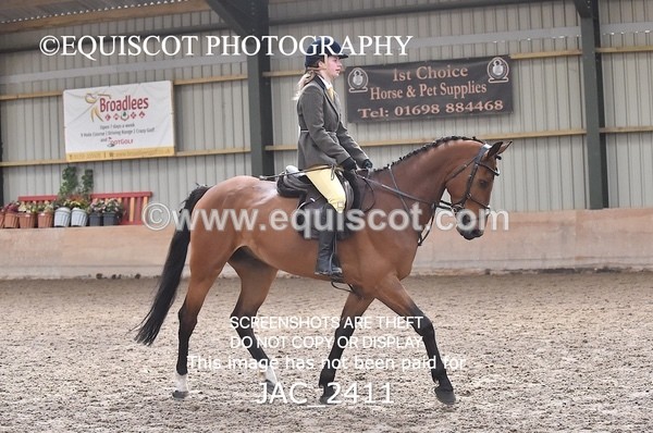 JAC_2411 - CLASS 3 Intermediate Working Hunter