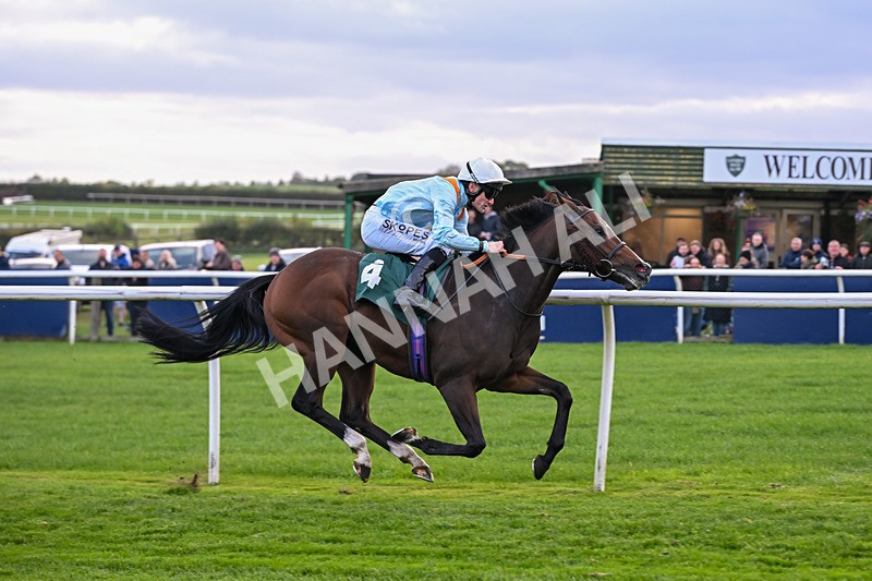 171026-Race 7-Lexington Blitz-6416 - Race 7 4.45pm William Hill Catterick Dash Handicap