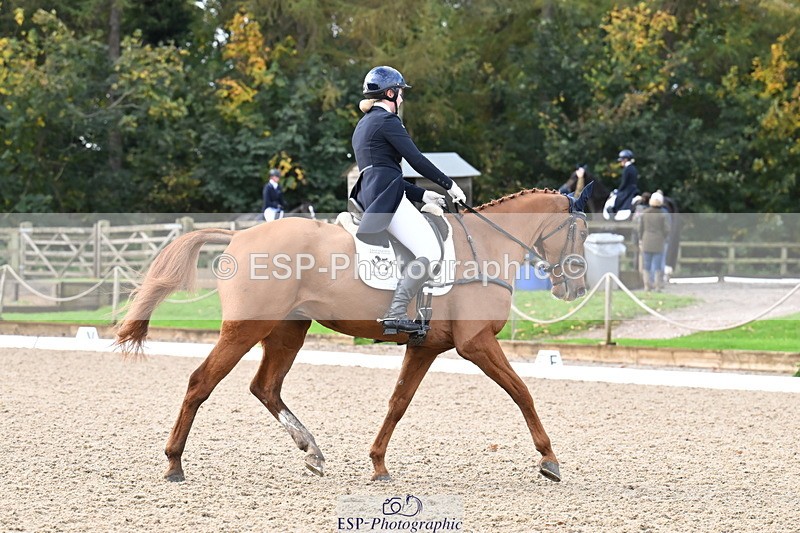 251023A-101737-01476 - B-128-Holly.Law