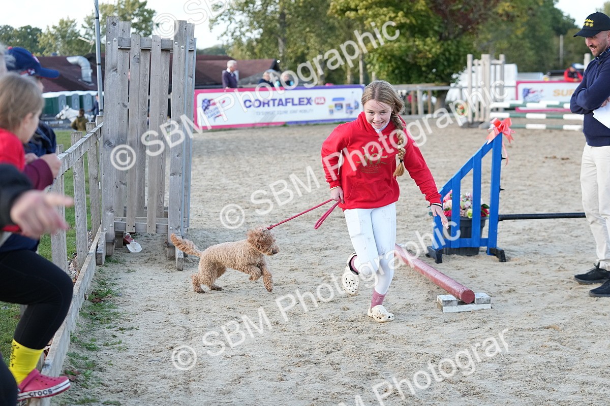 SBM_29474 - J44 - Horse & Hound Open 70cm