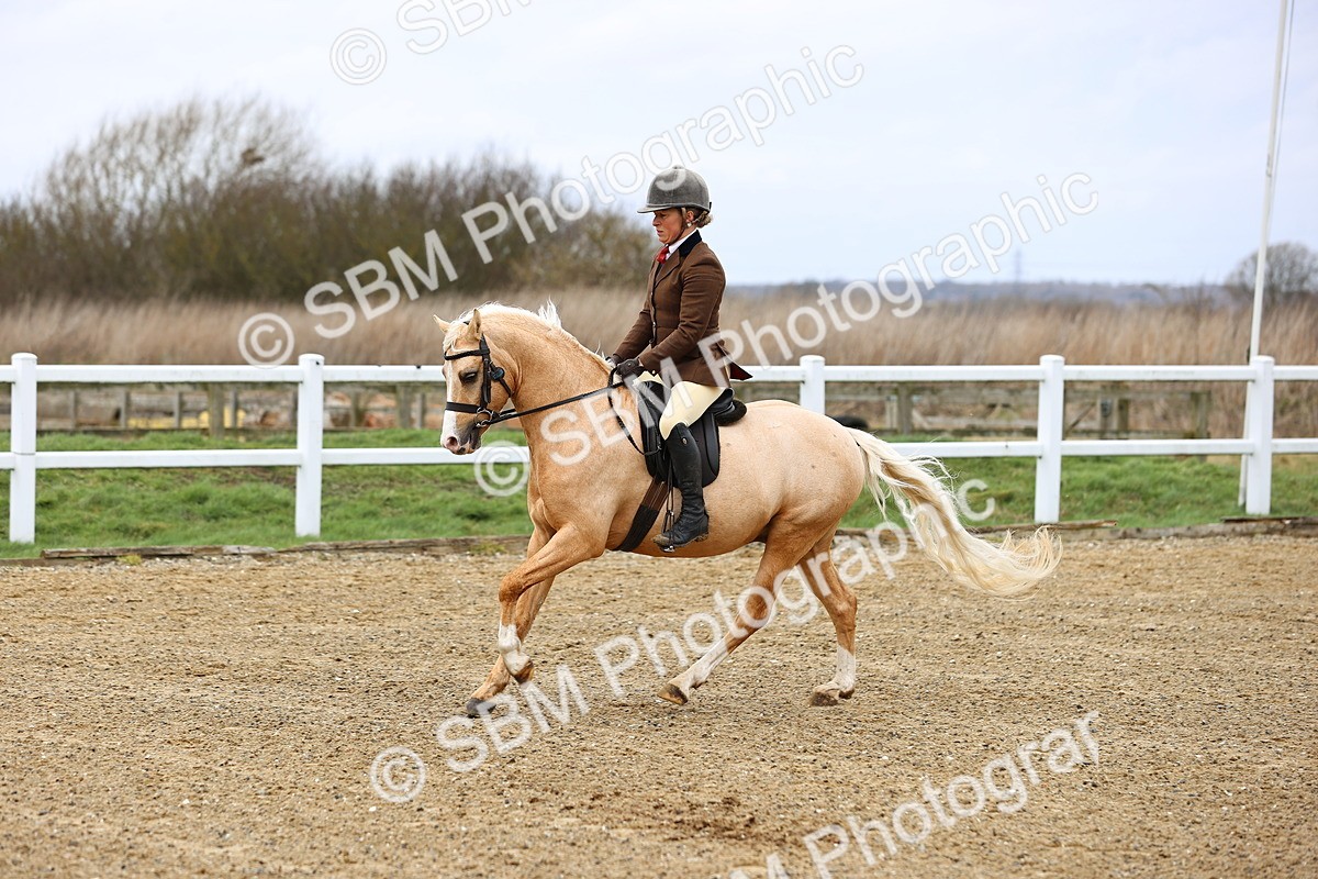 SBM_006795 - Class 29 - 30 - M&M Pure Novice Small-Large Breeds