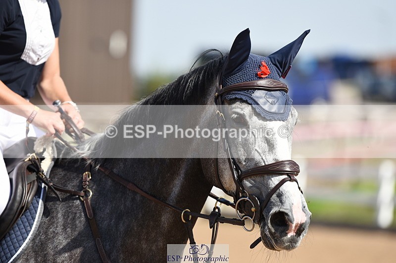 230906A-124322-00300 - Newcomers & 1.10m Open