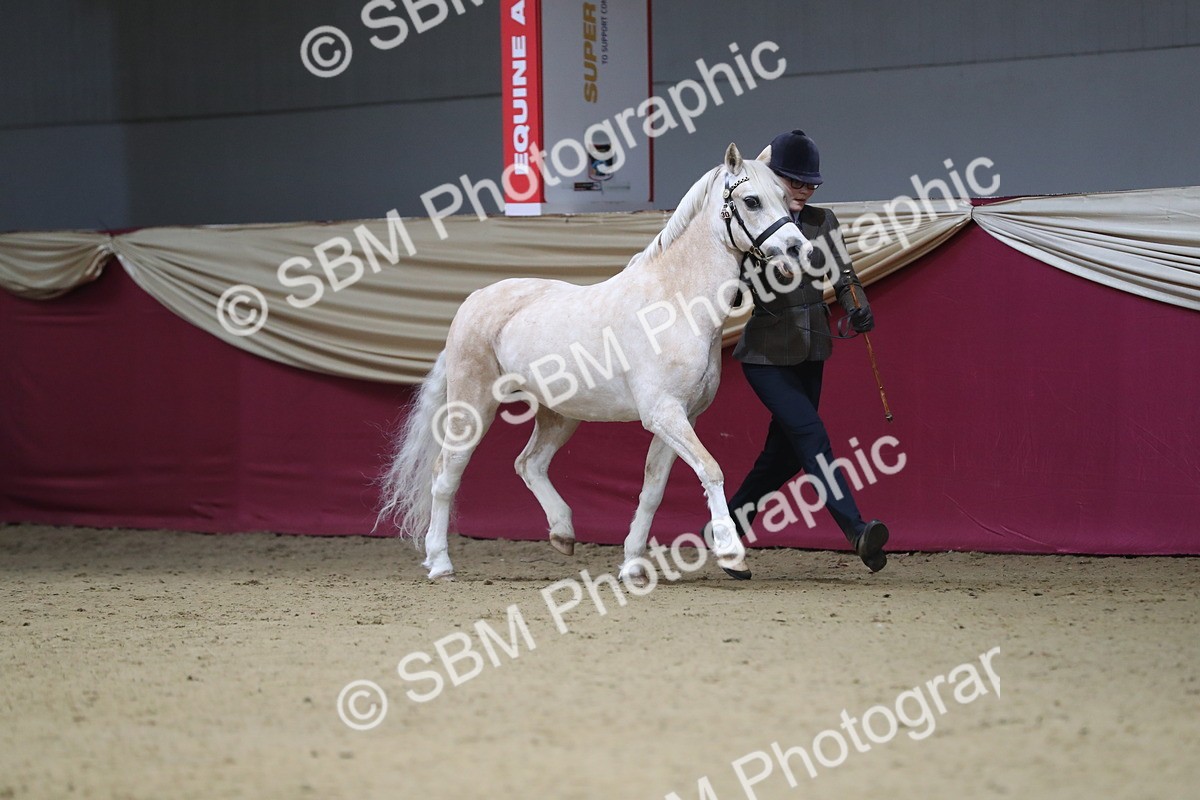 SBM_00195 - Class 1a - Area IH Diamond