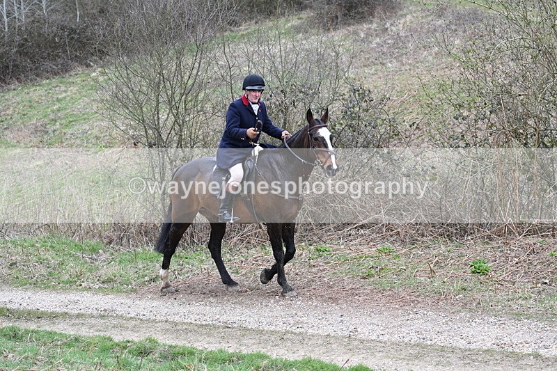 WJ7_7349 - Walk Home