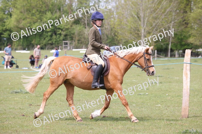 20260426-2937 - Class 33 - Best Pony 14.2hh and Under