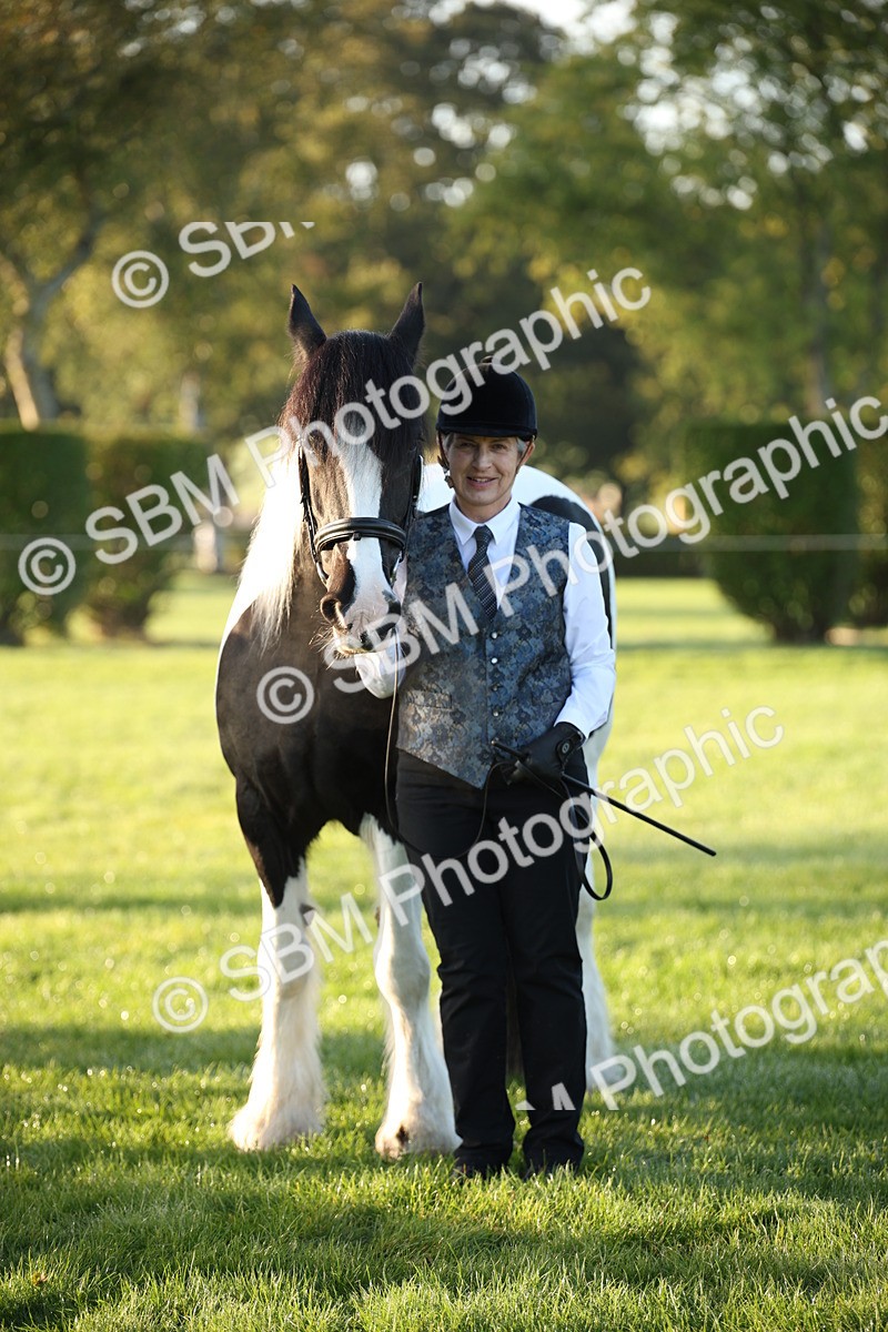 SBM_32281 - S8 - Best Turned Out