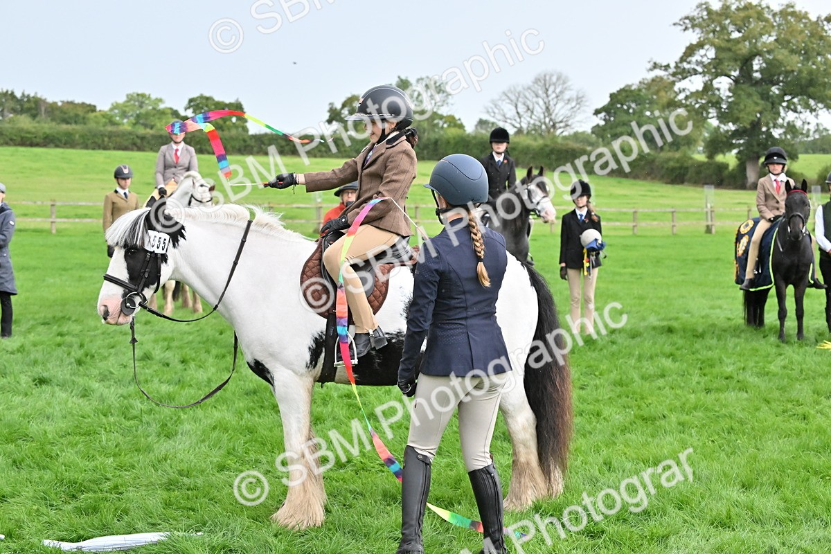 SBM_42929 - S12 - Family Horse & Pony