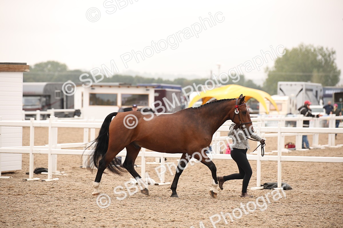 SBM_22108 - Class 707 - Ridden Groom-Helpers Class