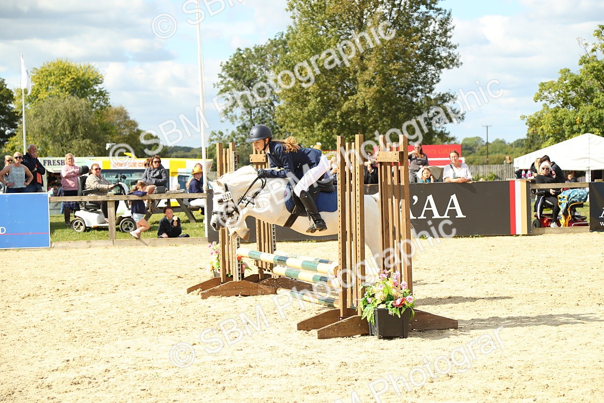 SBM_41300 - J6 - Junior Pony 55cm Championships