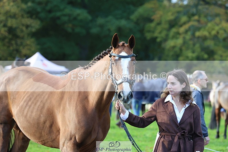 251026A-095930-22643 - D-368-Emma.Pine