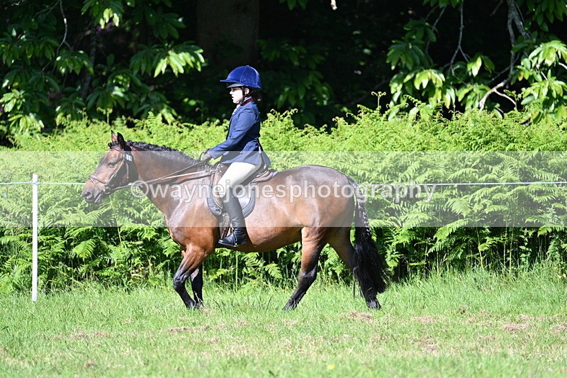 WJ7_0369 - Class 8 First Rally Pony