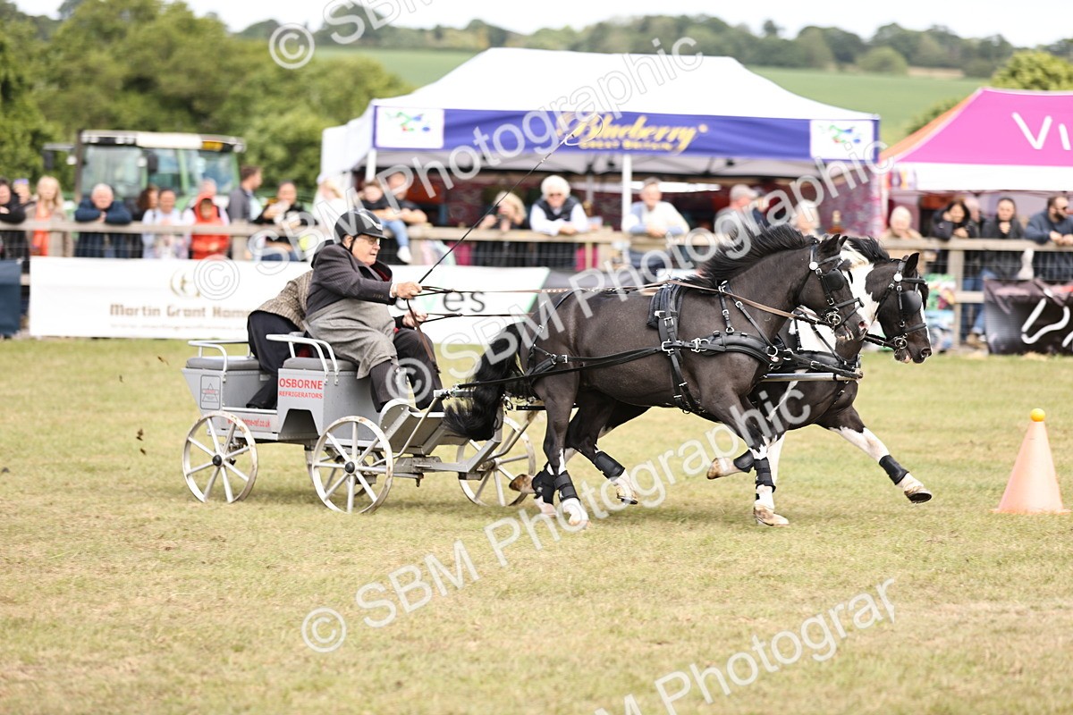 SBM_16079 - Class 91 - Scurry  exceeding 122cms