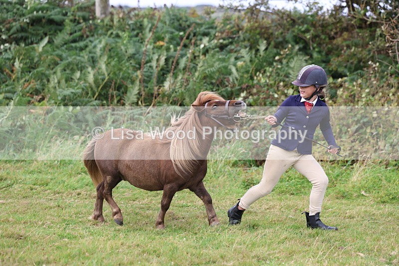 3E7A4056 - Class 15: Two Year Olds