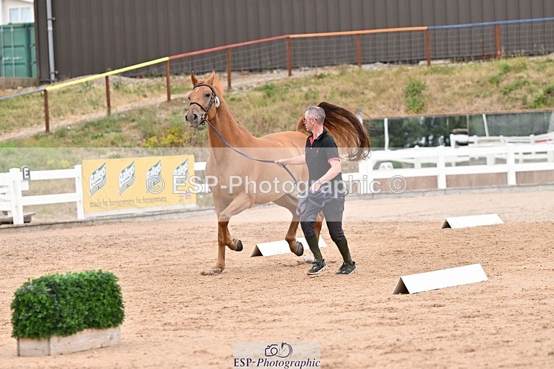 250716-160619-02407 - Trot Up 3.30 to 4.30