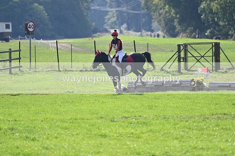 WJ7_4891 - 60cm Time 11:11 to 11:19