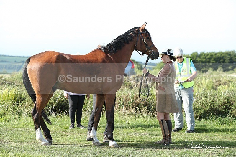 SPXX0116 - Friday vetting