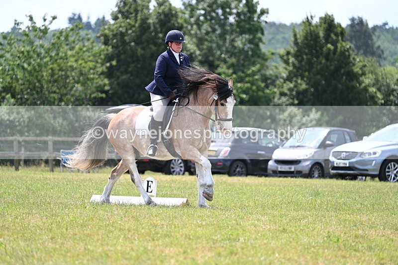 WJ7_8185 - Time 13:35 to 13:40