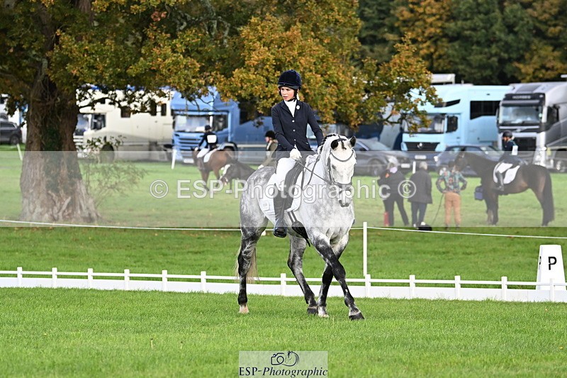 251023A-104543-02593 - G-509-Millie.Bloomfield