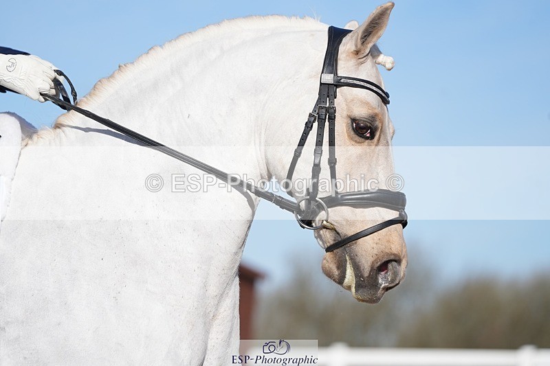 260214-113636-03698 - 025-Louisa.Julie.Brend