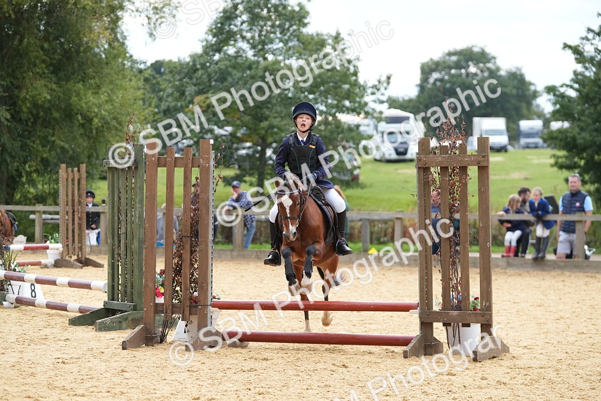 SBM_74747 - J4 - Mini Tour Junior Pony 45cm Championship