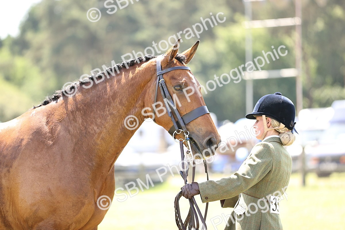 SBM_15214 - Class 79-80 - LIHS BSHA Rising Star Ridden Hunter