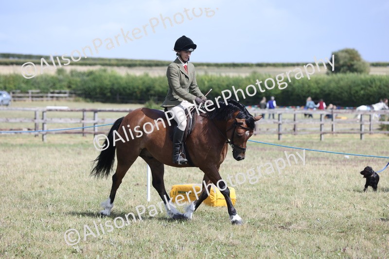 20250831-2922 - Class 19 - Mountain and Moorland