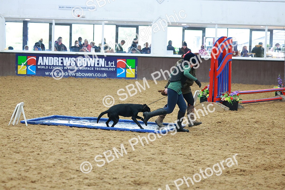 SBM_002432 - Class 3 - Horse & Hound (60cm)