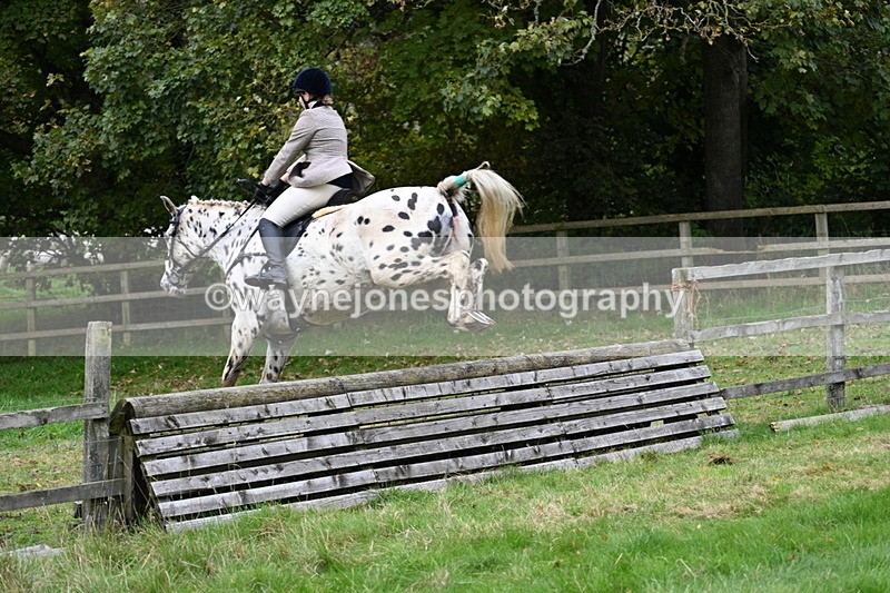 WJ7_4740 - Camera 1 Line 3