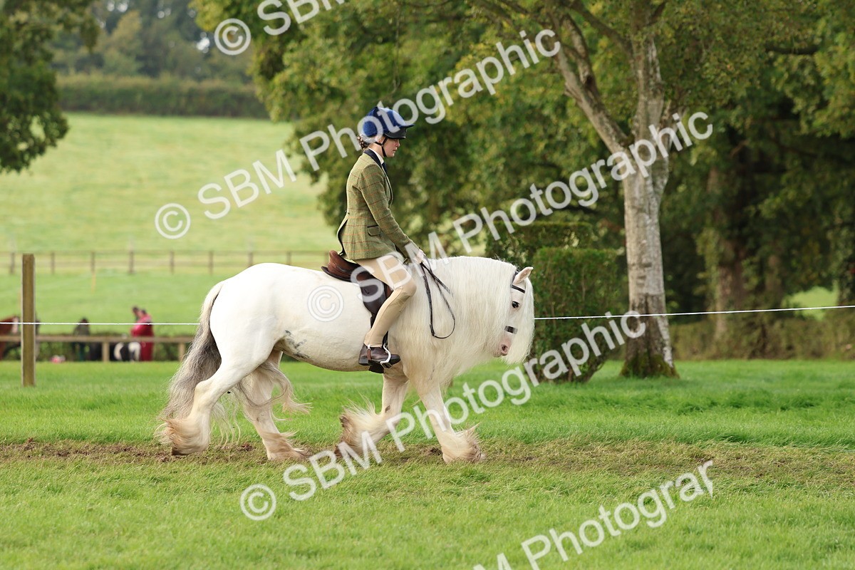 SBM_56562 - S40 - Starters Ridden Showing