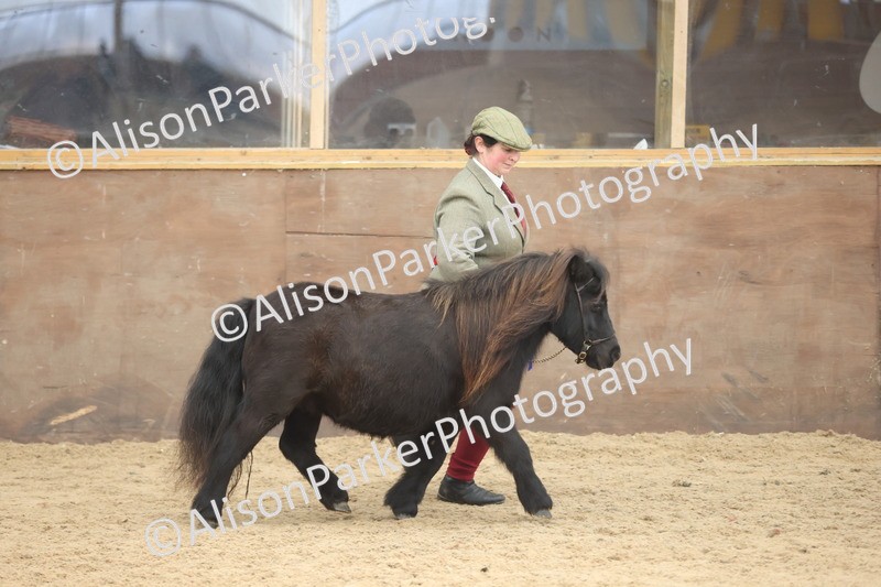 20251109-0363 - Class 13 - Mares 4 Years and Over