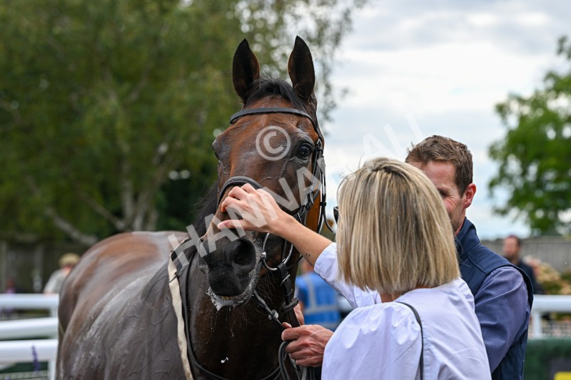 160926-Race 1-Austrian Theory-9317 - Race 1 2.08pm Season Finale Is Next Tuesday Selling Handicap