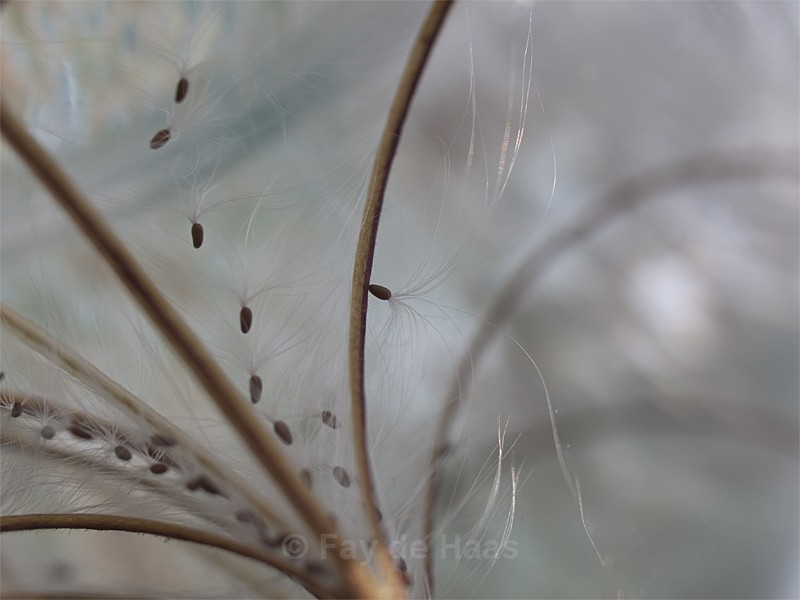  - Nature's Wonders