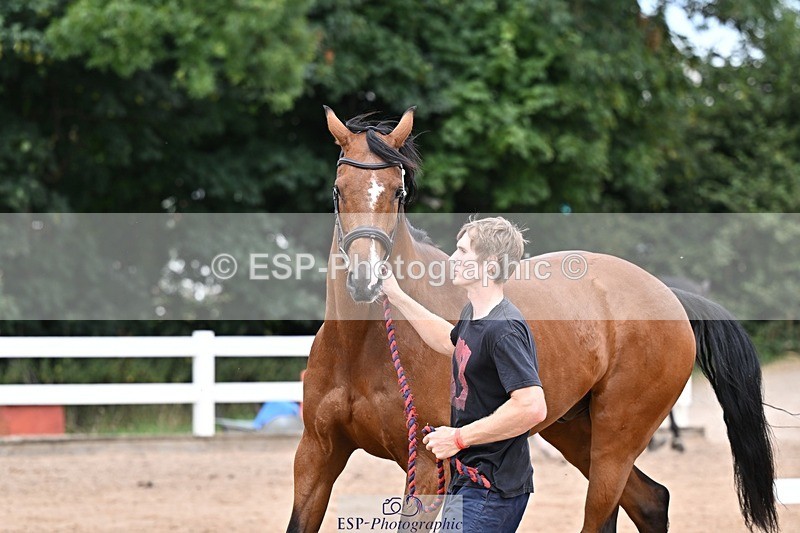 250716-135048-00694 - Trot Up 1.30 to 2.30