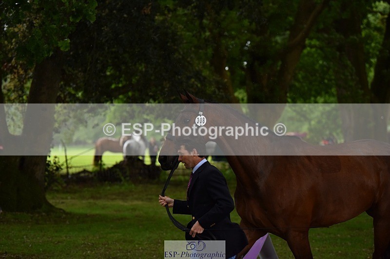 240522-151224-00166 - 308-COOLEY_ANYTHING_YOU_LIKE-Harry_Meade