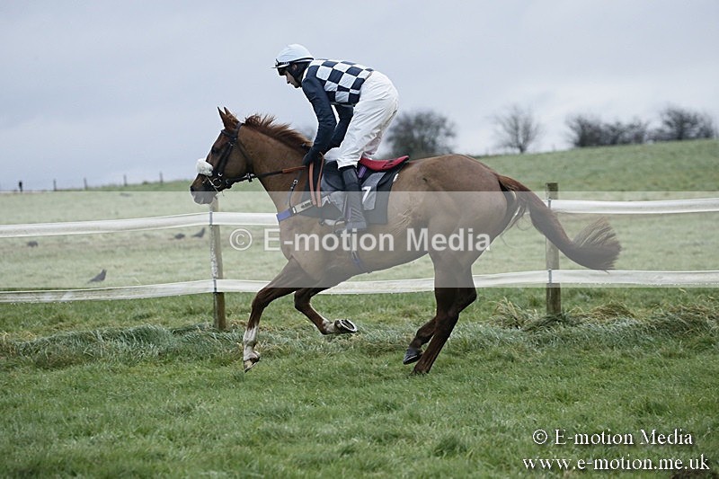 PtP 031217 811 - Hursley Hambledon Point-to-Point Larkhill 03/12/17