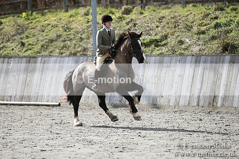 BVRC SJ 170319 455 - Bourne Valley Riding Club Showjumping 17/03/19