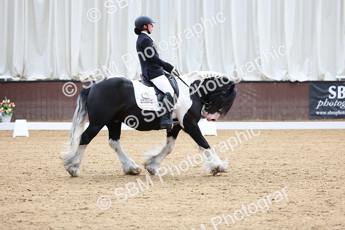 SBM_016017 - Class 15 - Novice FSM - 9.50 - 11.10