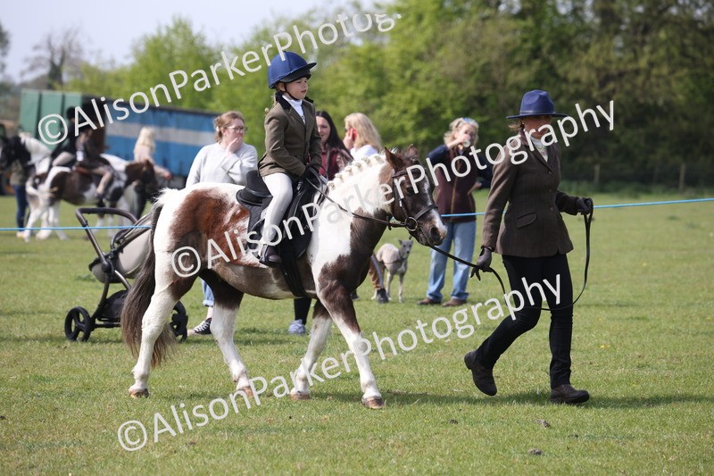 20260426-2594 - Class 31 - Leading Rein