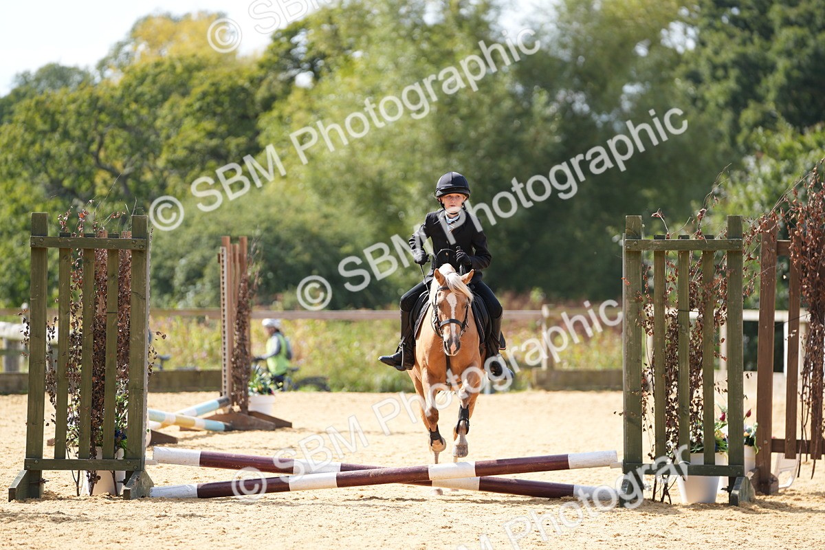 SBM_65715 - J2 - Mini Tour Junior Pony 30cm Championship