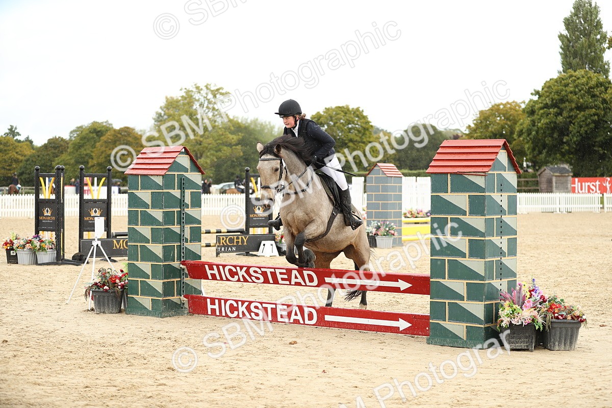 SBM_40396 - J21 - Junior Horse 60cm Championship