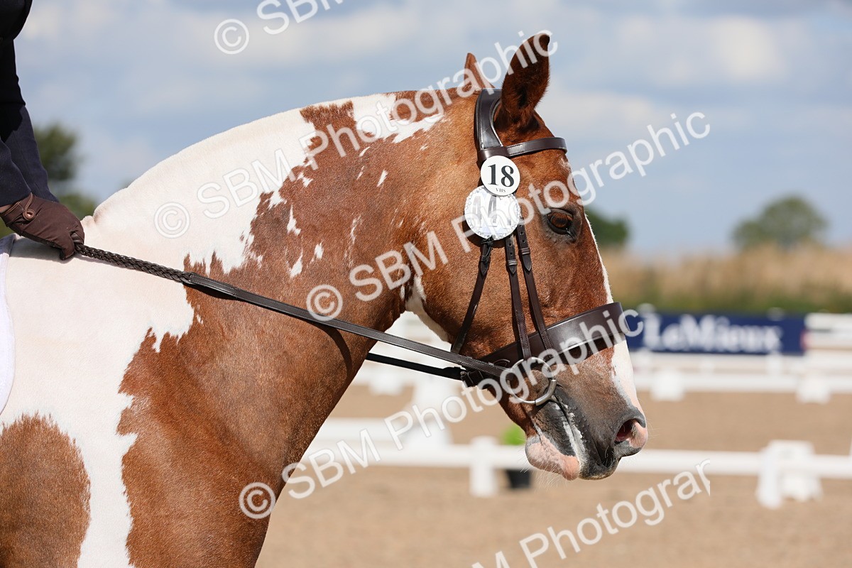 SBM_04134 - Class 31 Prelim 1