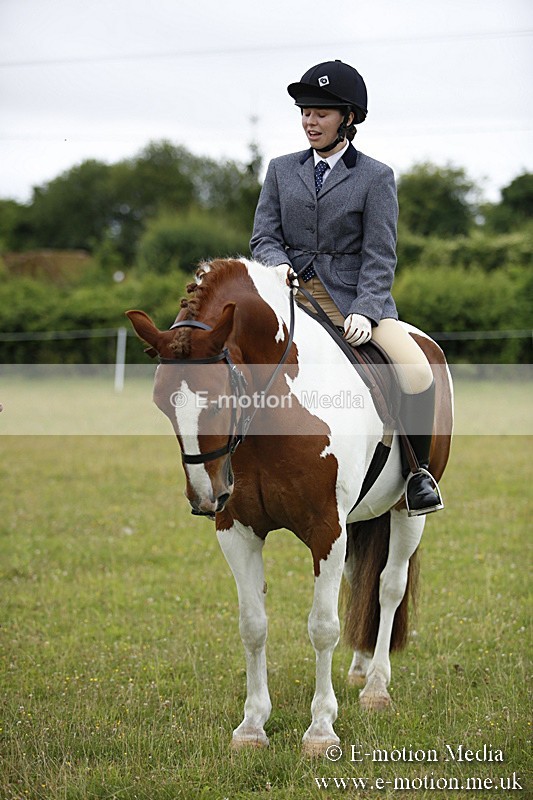 BVR160717-73 - Ring 1 BVRC Show 16/07/17